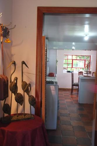a room with a table with a bunch of birds on it at Cabañas Yukatan Lago de Tota in Tota