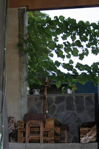 a tree in front of a window with a chair at Guest House Nima in Borjomi