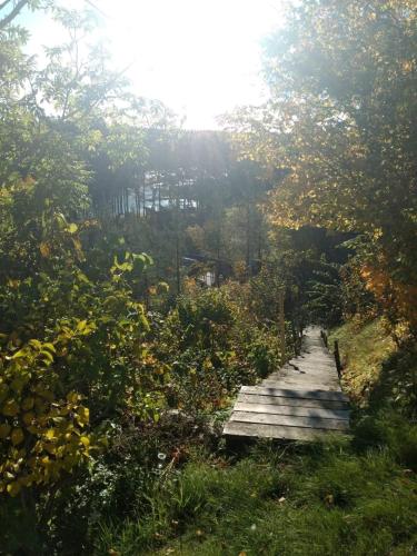 Naturlandschaft in der Nähe der Lodge
