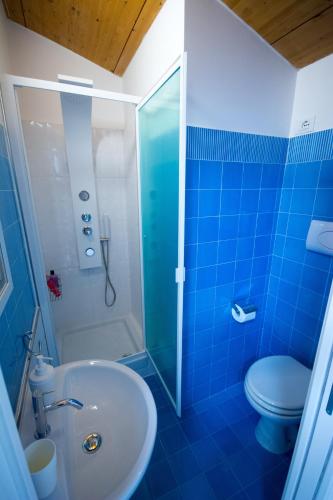a blue bathroom with a shower and a toilet at Palazzo di Fazio Suites in San Severo