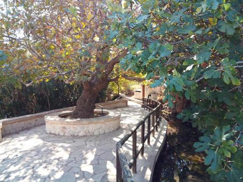 a tree in a stone circle next to a fence at Dimitra Apartments Zakros Village in Káto Zákros