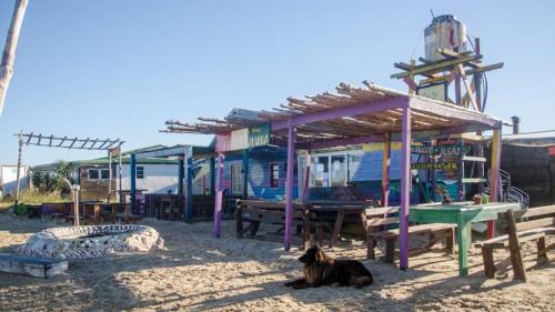 a dog laying in the sand in front of a building at Lobo Hostel Bar in Cabo Polonio