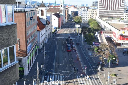 Apylinkės arba rajonas netoli apartamentų