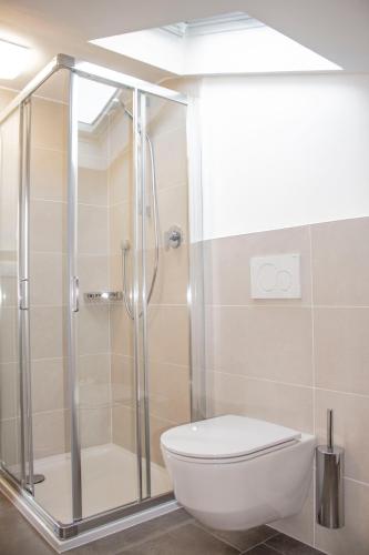 a bathroom with a shower and a toilet at Schenna Garni Eden Bed & Breakfast in Schenna