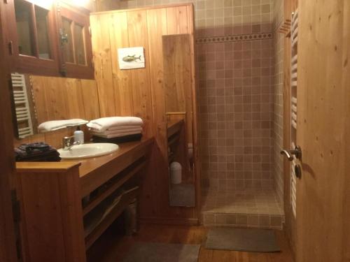 a bathroom with a sink and a shower at la maison face au port in Lège-Cap-Ferret