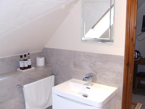 a bathroom with a sink and a mirror at Garbhein Bed & Breakfast in Kilmelfort