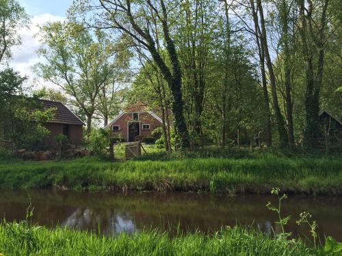 a house in the woods next to a river at Veenhoes in Vriescheloo