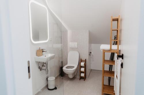 a bathroom with a toilet and a sink at Street Food Possonium Apartments in Bratislava