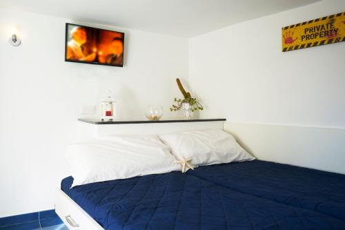 ナポリにあるNeapolitan Houseのベッドルーム1室(青い毛布付きのベッド1台付)