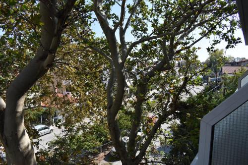 - une vue sur un arbre depuis la fenêtre d'une maison dans l'établissement Galanis Studios and Apartments, à Platamonas
