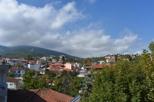 a city with houses and a mountain in the background at Galanis Studios and Apartments in Platamonas