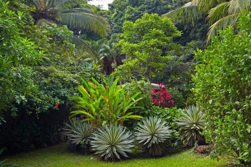 Un jardín fuera de Hotel Entre Dos Aguas
