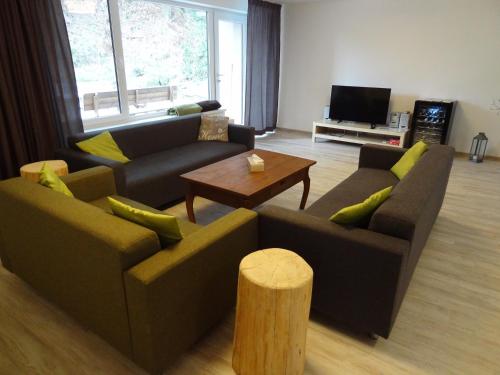 Sala de estar con 2 sofás y mesa de centro en Vila Lom, en Velké Losiny
