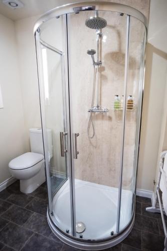 a shower stall in a bathroom with a toilet at Douglas Apartment in Alexandria