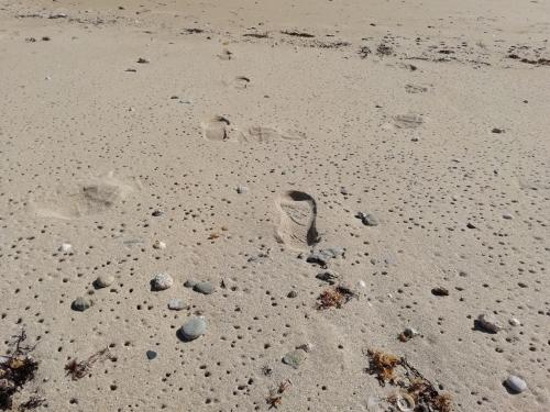 a shoe footprint in the sand on a beach at les roches du Cabellou 150M de la mer in Concarneau