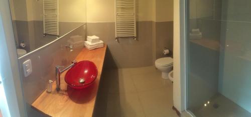 a bathroom with a red sink and a toilet at Abedul Apartamentos in San Martín de los Andes