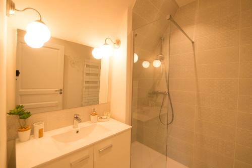 サルラ・ラ・カネダにあるLe Nid Douillet, climatisation et parking privéのバスルーム(シャワー、シンク、鏡付)