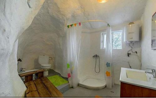 uma casa de banho com um chuveiro, um WC e um lavatório. em Villa el Manantial em Vega de San Mateo