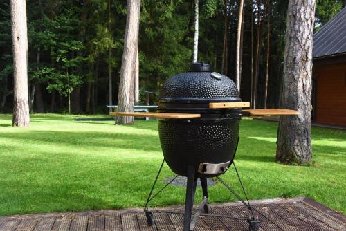 a grill sitting on a table in a yard at Vacation Home Mezsargi in Pape