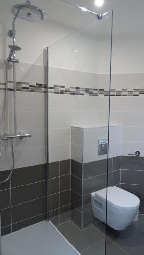 a bathroom with a glass shower and a toilet at la maison du saussoy in Saint-Augustin