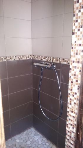 a shower with a hose in a brown tiled bathroom at Chambres d'Hôtes Chalet de la Source in Morillon