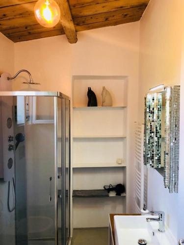 two cats sitting on shelves in a bathroom at La Pergola B&B in Cesena