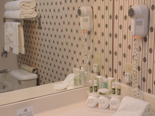 een badkamer met een wastafel en een spiegel bij Evergreen Inn & Suites in Monroe