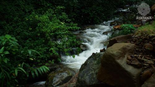 a stream of water flowing through a forest at Ayatana Coorg in Somvārpet