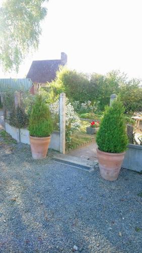 two plants in pots sitting on the ground at Frenes B&B in Frênes