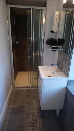 a bathroom with a shower and a white sink at Frenes B&B in Frênes
