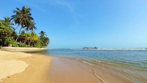 a sandy beach with palm trees and the ocean at Guest House Basilea in Beruwala
