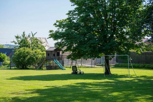a park with a playground with a tree and a swing at B&B De Oude Winning in Riemst