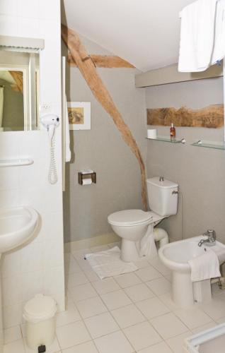 une salle de bain avec toilettes et lavabo dans l'établissement Bed & Breakfast Le Moulin Neuf, à Saint-Alvère