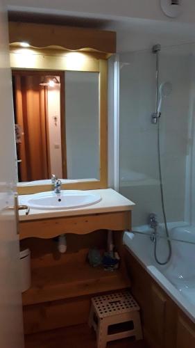a bathroom with a sink and a mirror and a tub at Residence la Dame Blanche in Puy-Saint-Vincent