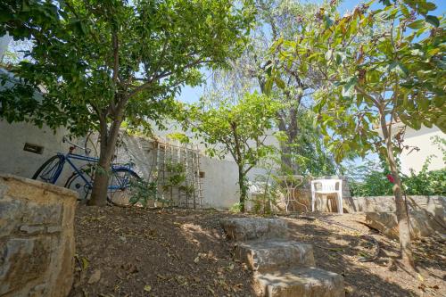 a yard with trees and a white chair and a building at Seafarer's Suite in Galaxidhion