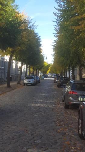 a street with cars parked on the side of the road at Von-Thünen in Schwerin
