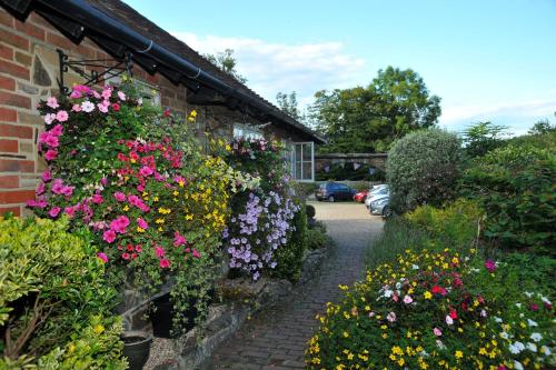 a garden with flowers on the side of a building at Random Hall in Slinfold