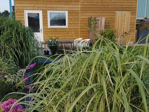 a house with a bunch of plants in front of it at Costa del Twel in Uitwellingerga