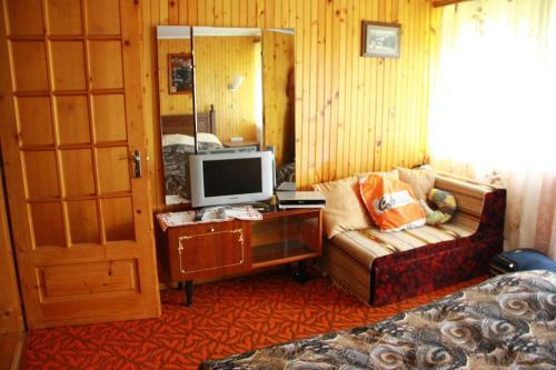 a living room with a couch and a television at у андрія in Yaremche