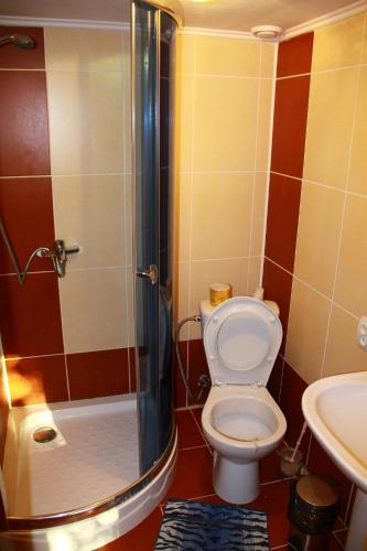 a bathroom with a toilet and a shower and a sink at у андрія in Yaremche