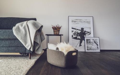 a living room with a couch and a dog bed at Parsenn Resort in Davos