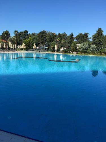 duży basen z błękitną wodą z drzewami w tle w obiekcie Apartment Sea Avenue w mieście Batumi