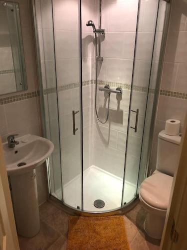 a bathroom with a shower and a toilet and a sink at The Leeman Rose in York
