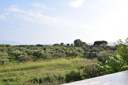 Φυσικό τοπίο κοντά σε αυτό το διαμέρισμα