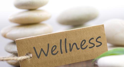 a sign with the word wellness in front of a group of rocks at Velence Spa Apartman in Velence