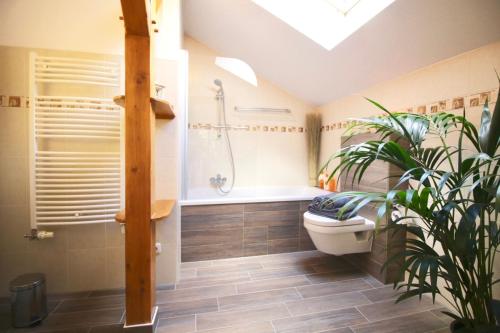 SaalにあるFerienwohnung Baumannのバスルーム(トイレ、シャワー、植物付)