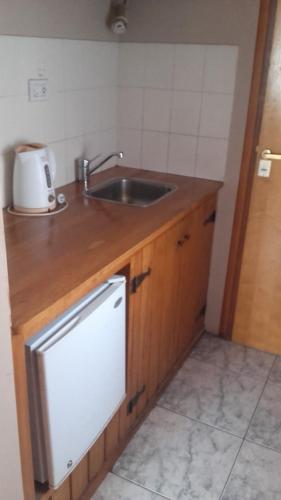 a small kitchen with a sink and a dishwasher at Hostal Rio Ona in Ushuaia