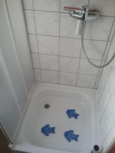 a bathroom with a shower with blue tiles at Reiherweg3A in Südbrookmerland