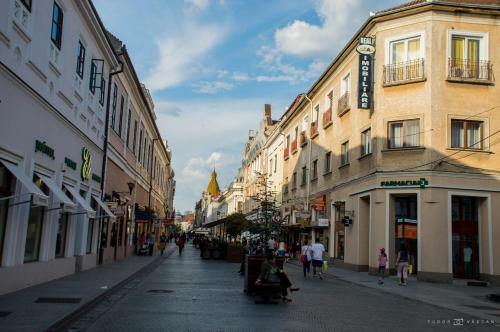 a city street with buildings and people walking on the street at Regim Hotelier Pietonală in Oradea