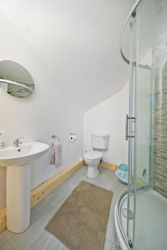 a bathroom with a toilet and a sink and a shower at Moorepark West House in Fermoy